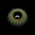 Alvar Green Colored Contact Lenses