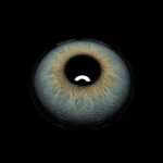 Alvar Blue Colored Contact Lenses