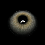 Lilian Gray Colored Contact Lenses