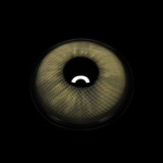 Marin Brown Colored Contact Lenses