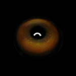 Cosplay Abyss Gold Colored Contact Lenses