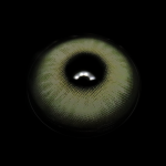 Himalaya Light Green Prescription Colored Contact Lenses