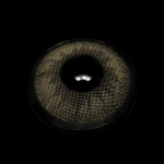 Marcela Hazel Colored Contact Lenses