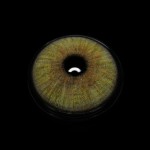 Karla Brown Colored Contact Lenses