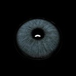 Karla Gray Colored Contact Lenses