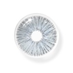 Karla Gray Colored Contact Lenses