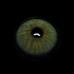 Karla Green Colored Contact Lenses