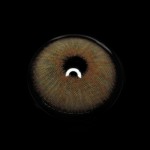 Karla Hazel Colored Contact Lenses