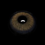 Neala Brown Prescription Colored Contact Lenses