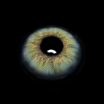 Anita Green Prescription Colored Contact Lenses