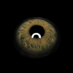 Kelly Brown Colored Contact Lenses