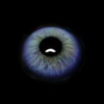 Elvina Purple Colored Contact Lenses