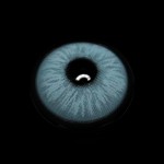 Mule Blue Colored Contact Lenses