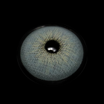 Cyrene Lake Blue Colored Contact Lenses