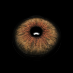 Cyrene Hazel Prescription Colored Contact Lenses