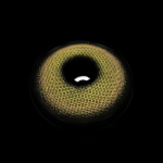 Charlotte Brown Colored Contact Lenses