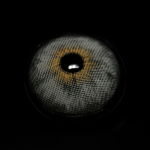 Cyrene Gray Prescription Colored Contact Lenses