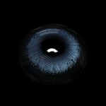 Cinnabar Blue Colored Contact Lenses