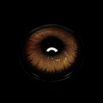 Yaqoot Brown Colored Contact Lenses