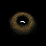 Pro Hazel Brown Colored Contact Lenses