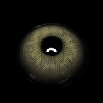 Celia Brown Colored Contact Lenses