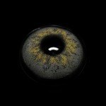 Russia Light Brown Prescription Colored Contact Lenses