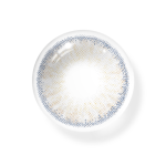 Roxy Lolite Gray Daily (10 Pcs) Colored Contact Lenses