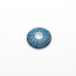 New York 2  BLUE Daily (10 Pcs) Colored Contact Lenses