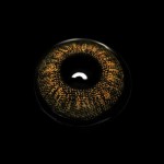 Bruna Brown Prescription Colored Contact Lenses