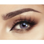 Elite LILA GRAY Colored Contact Lenses