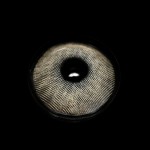 Gimlet Brown Colored Contact Lenses