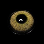 Danica Amande Brown Colored Contact Lenses