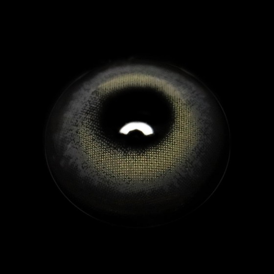 Sidra Gray Colored Contact Lenses