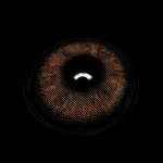 Kohaku Brown Prescription Colored Contact Lenses
