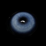 Cosplay KOI Blue Colored Contact Lenses