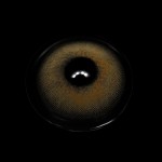 Pina Brown Colored Contact Lenses