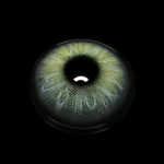 Melania Green Colored Contact Lenses